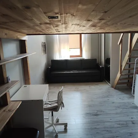 Apartamento Z Antresolami W Centrum Radom
